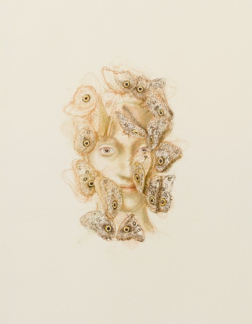 Juul Kraijer, zonder titel, 2014, pastel op papier. 61,7 x 49,1 cm.