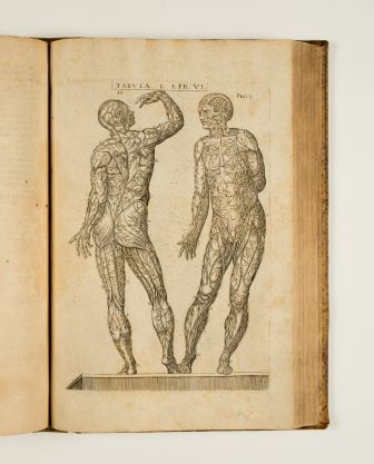 Juan Valverde Anatomie oft levende beelden vande deelen des menschelicken lichaems, Christopher Plantin 103-1568 FOTOGRAFIE: PETER MAES